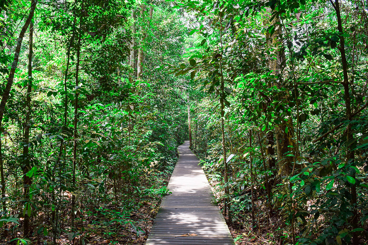 4 lesser-known trails for your next green adventure - Geneco